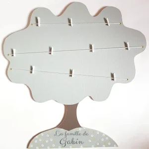 L'arbre généalogique des bébés chiens