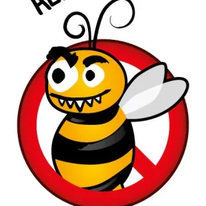 Pico Tatouage - Tatouages Temporaires - Allergie Abeilles||Pico Tatouage - Temporary Tattoos - Bees