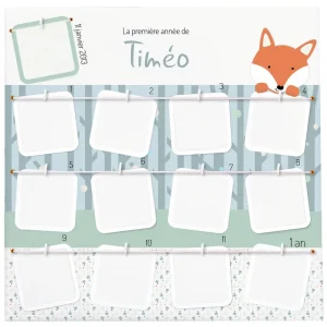 Cadre de la première année sur le thème déco du renard