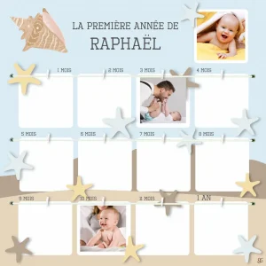 Cadre 12 mois étoiles de mer et coquillage