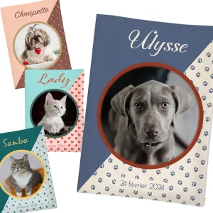 Protège carnet de santé motifs à personnaliser pour chien ou chat - 4 versions
