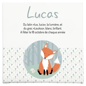 Toile sur l'origine du prénom de votre enfant racontée avec le renard