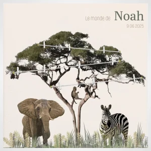 Arbre généalogique jungle