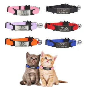 Collier à graver personnalisé pour chat