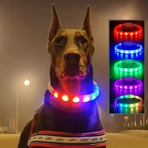 Collier Chien Led Silicone Rechargeable