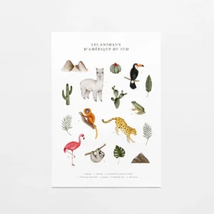 Marie-Lise - Affiche - Animaux d'Amérique du Sud||Marie-Lise - Poster - Animals of South America
