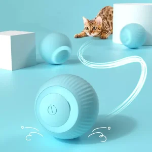 Jouets interactifs pour chats