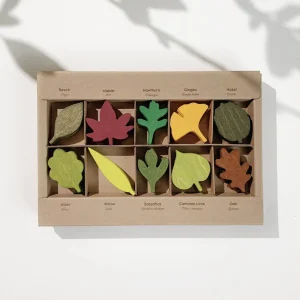 Moon Picnic - Feuilles des Bois||Moon Picnic - Woodland Leaves