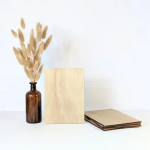 (LOT *24) Panneau A5 en bois clair DIY | Signalétique mariage & événements (Copie)