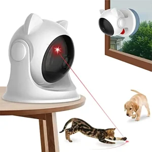Pointeur laser pour chat