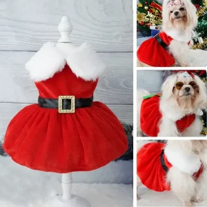 Robe de Noël pour chienne